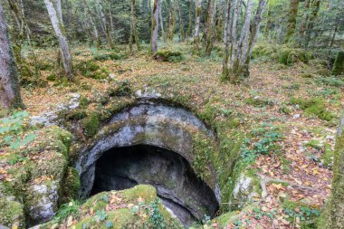 Fransa 'daki Jura' dan Malrochers 'ın karistik izleri.