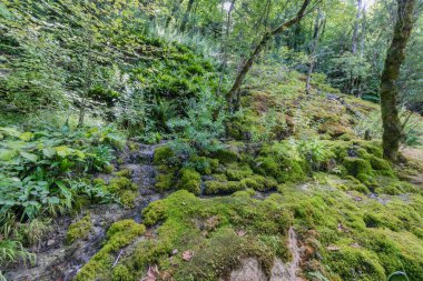 Pertes de L 'Ain, Losses of the Ain, Jura in France' ın yürüyüş şarkısı