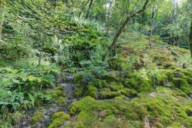 Pertes de L 'Ain, Losses of the Ain, Jura in France' ın yürüyüş şarkısı