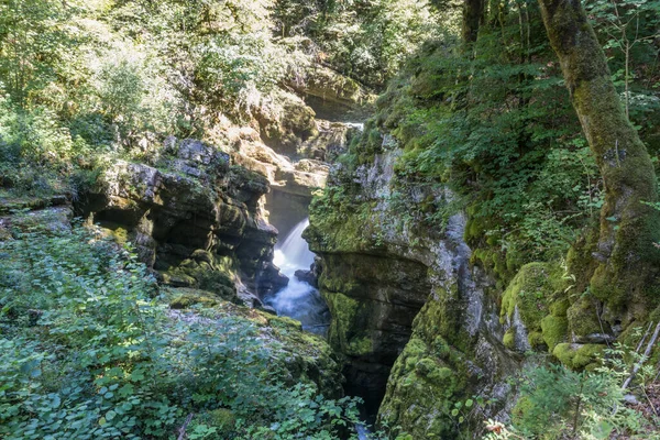 Percorso Escursionistico Delle Pertes Ain Perdite Dell Ain Giura Francia — Foto Stock