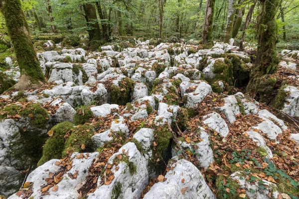 Karstic Trail Malrochers Jura France — Stock Photo, Image