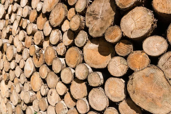 Wood Piled Deforestation Jura France — Stock Photo, Image