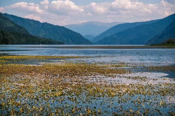 Озеро Телецьке Горний Алтай Росія Пейзаж Плавання Каяк Каквід Водні Стокова Картинка