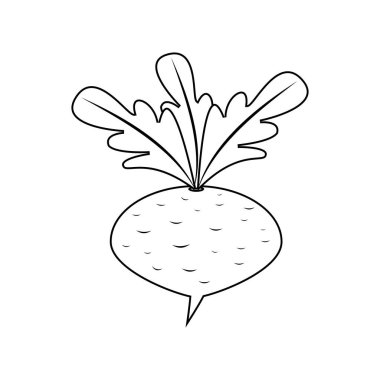 Şalgam eskizi siyah beyaz. Doğrusal ve çizgili vektör çizimi. Beyaz arkaplanda izole illüstrasyon.