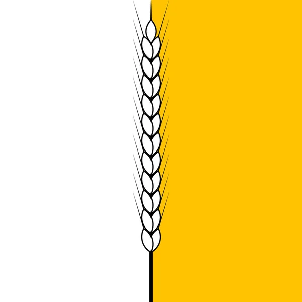 Black White Wheat Stalk Divides Yellow Background Half Linear Outline — Stock Vector