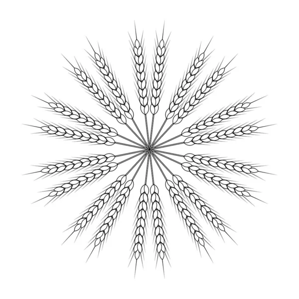 Круглый Пшеничный Венок Орнамент Черно Белый Контур Дизайн Шаблона Упаковки — стоковый вектор