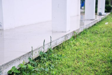 Parkın güzel manzarası