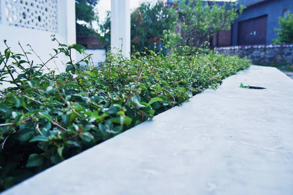 Parkın güzel manzarası