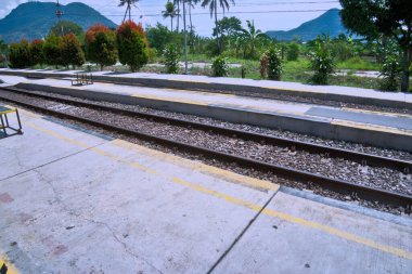 Ormanda demiryolu rayları