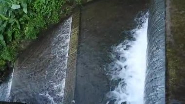 Ormanda güzel bir şelale, doğa geçmişi