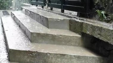 Parktaki merdivenler.