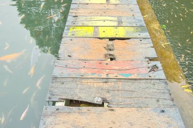 Parktaki tahta köprü.