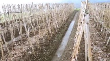 Doğanın güzel manzarası