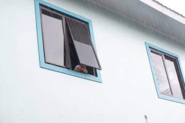 Şehrin duvarındaki pencere.