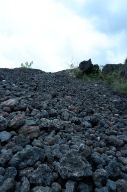 Hawaii 'de yerdeki siyah volkanik kayalar..