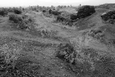 İran 'daki antika arazi evinde.