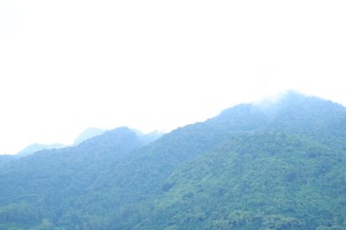 Sisli dağ manzarası