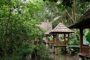 Ağaçları ve yeşil yaprakları olan güzel bir tropikal orman.