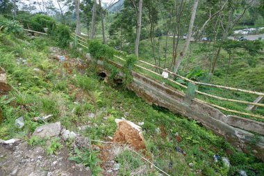 Filipinler adasının ormanında küçük bir köy.