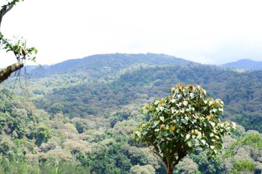 Dağların güzel manzarası