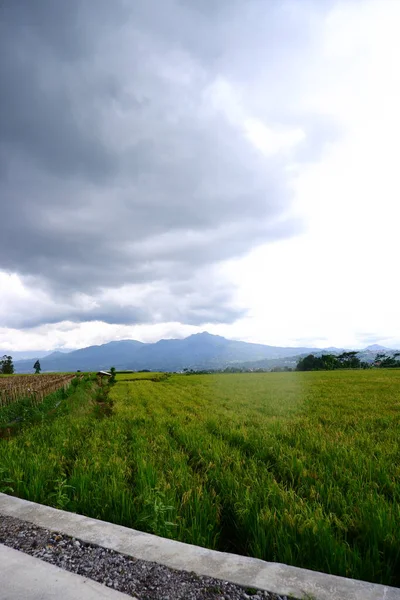 Doğa sahnesinin resimsel görüntüsü