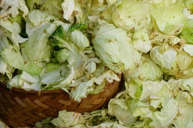 Arka plan olarak taze yeşil lahana