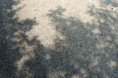 ağaç kabuğu dokusu arkaplanı