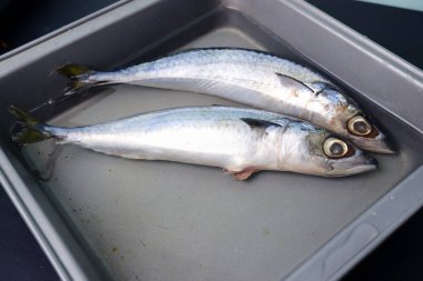 bir pazarda taze uskumru