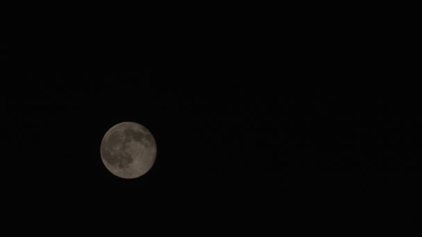 Lua de lapso de tempo, a lua se move a partir do canto inferior esquerdo na diagonal, lua no céu escuro — Vídeo de Stock