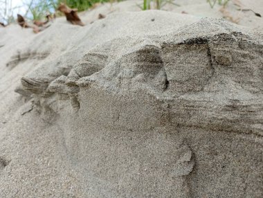 Rüzgâr desenli ve kuru yapraklı desenli kum tepeciklerinin yakın görüntüsü doğal güzellik ve huzurlu manzaraları çağrıştırıyor.