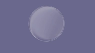 Mor arkaplanda dairesel nesneyi temizle