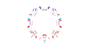 Siyah arkaplanda canlı neon ışığı kurulumu