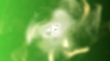 Dinamik ışık efektleriyle canlı yeşil arkaplan