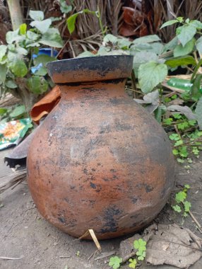Doğal açık havada bitkilerle birlikte klasik kil çömlek.