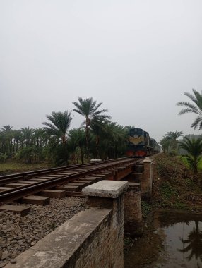 Tren, demiryolu köprüsündeki tropikal arazide seyahat eder.