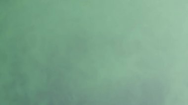 Suluboya arka plan. Soyut resimli duvar kağıdı. fırça darbesi. 2d illüstrasyon.