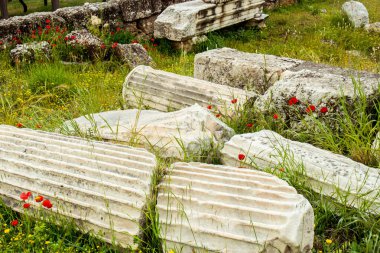 Akropolis 'teki çimlerin üzerindeki sütun parçaları. Atina, Yunanistan. 