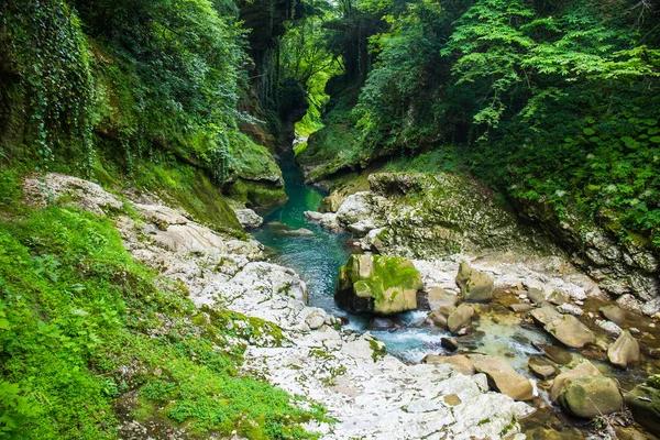 Paisagem Com Rio Martvili Canyon Geórgia — Fotografia de Stock