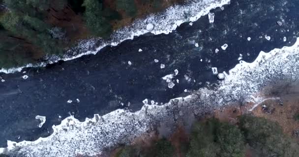 Photographie Aérienne De Montagnes enneigées Et D'une Rivière coulant à Travers Une Forêt De Conifères — Video