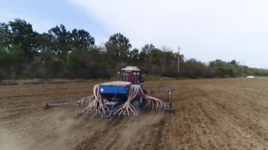 Traktör Belarus toprağı sürüyor. Toprağa tohum ekiyorum.
