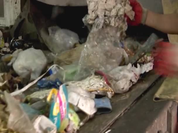 Arbetarna sorterar sopor, avfall för återvinning vid en återvinningsanläggning. Miljö Videoklipp