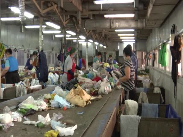 Oigenkännliga arbetare på transportören Sortering av skräp på avfallshanteringsanläggningen Royaltyfri Stockfilm
