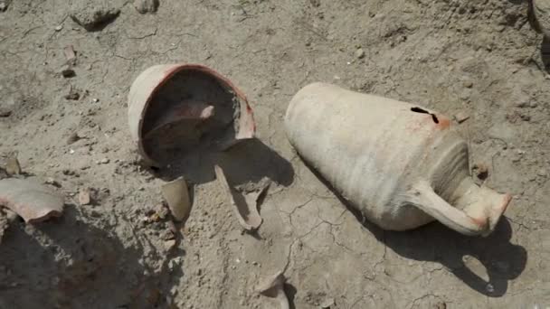 Археологічні розкопки зламаного керамічного глечика — стокове відео