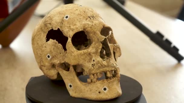 Egy törvényszéki szakértő egy emberi koponyát vizsgál i.sz. 192-ben. — Stock videók