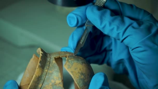 Крупним планом археолог тримає стародавню кераміку в руках — стокове відео