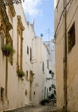 Sessiz Beyaz Duvarlı Sokak Tarihi Binalar, Bitkiler ve Dar Kaldırım Sokağı