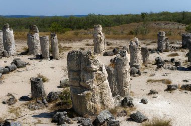 Antik Taş Sütunlar ve Çöl Harabeleri Nadir Bitkiler ve Geniş Açık Gökyüzü