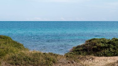 Turkuaz Denizi, Açık Mavi Gökyüzü, Yeşil Çalılar ve Kumlu Önplan ile Sakin Deniz Manzarası