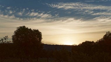 Karanlık çöktüğünde Sessiz Ufukta Altın Gün Batımı Silinmiş Ağaçların Üzerinde