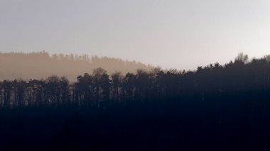 Silhouette Forest At Dawn With Misty Horizon And Soft Gradient Sky Over Hills